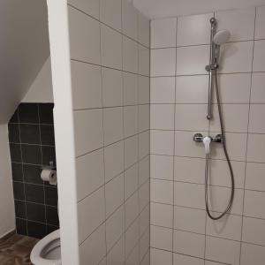 Kúpeľňa v ubytovaní Apartmán Špacír