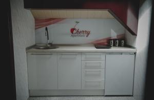 uma cozinha com um lavatório e uma bancada em Cherry apartmani em Gornji Milanovac