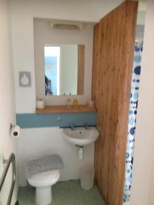 a bathroom with a sink and a toilet and a mirror at Old Church House in Newport