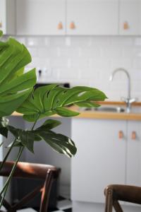 una planta verde en una cocina con fregadero en TikLiving en Ericeira