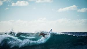 PaparaにあるTAHITI - Taharuu Houses Surf & Beachのギャラリーの写真