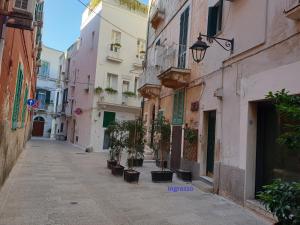 an empty alley with potted plants on a street at Storico 3 in Monopoli