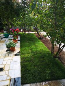 un jardin avec de l'herbe verte, des arbres et des plantes dans l'établissement Meje Apartments, à Split