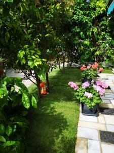 
a garden filled with lots of flowers and plants at Meje Apartments in Split
