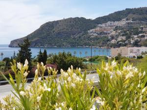 a view of the ocean and a mountain at Pension los Verdiales in La Herradura