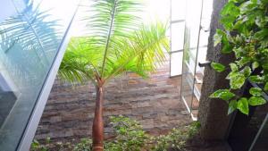 Zahrada ubytování Exclusive Villa in Bahia del Duque