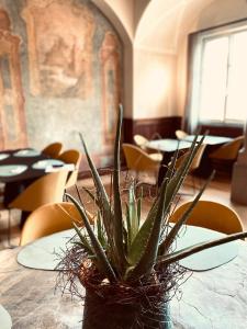 Istumisnurk majutusasutuses Stadthotel Styria