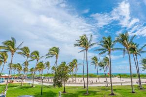 eine Gruppe von Palmen am Strand in der Unterkunft SoBe Lux Suites On Ocean in Miami Beach