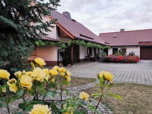 un patio de una casa con rosas amarillas en Ferienhaus Rosenhof, en Glaubitz