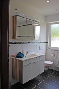 bagno con lavandino, servizi igienici e specchio di FEWO An der Ölmühle a Heuchelheim-Klingen
