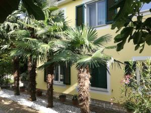 a house with palm trees in front of it at Guesthouse Leasol in Lucija