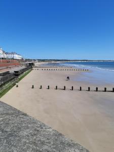 a beach with a person and a horse on the sand at The Bluebell Guest House in Bridlington