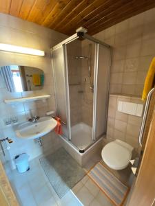 a bathroom with a shower and a toilet and a sink at Pension Schwemberger ohne Frühstück in Mayrhofen