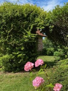 un cespuglio con fiori rosa di fronte a una casa di Les Cottages d'Orient Premium a Mesnil-Saint-Père