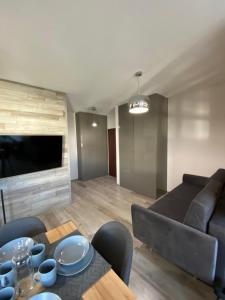 TV a/nebo společenská místnost v ubytování Apartament Drewno i Morze