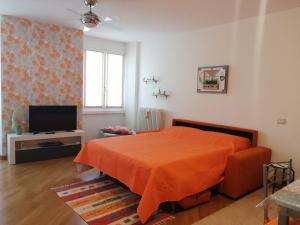 Televízia a/alebo spoločenská miestnosť v ubytovaní Residence Edera
