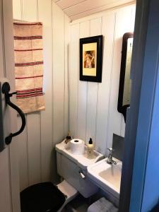 mała łazienka z umywalką i toaletą w obiekcie Barnham Court Farm w mieście Barnham