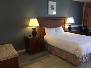 Habitación de hotel con 1 cama grande y 2 lámparas en VIP Motel, en Parksville