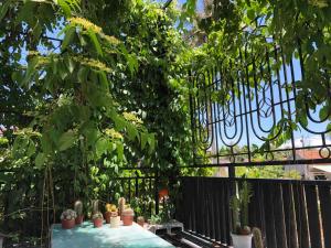 綏和的住宿－Hoàng Ngọc's House，围栏旁的桌子上放着植物