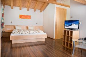 TV a/nebo společenská místnost v ubytování Hotel Garni Ragaz