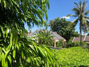 綏和的住宿－Hoàng Ngọc's House，一排种有棕榈树和灌木的房屋