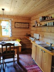 una cocina con fregadero y una mesa en una cabaña en Robakówka, en Ochotnica Dolna