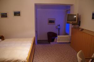 TV a/nebo společenská místnost v ubytování Hotel Herrenrest