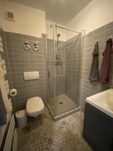 een badkamer met een douche, een toilet en een wastafel bij Erholen Garantiert in Dresden
