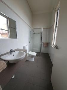 La salle de bains est pourvue d'un lavabo, de toilettes et d'une douche. dans l'établissement Empire Hotel Goulburn, à Goulburn