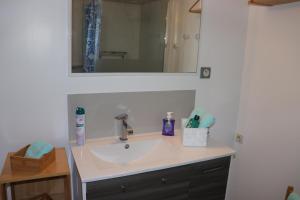 La salle de bains est pourvue d'un lavabo et d'un miroir. dans l'établissement Le studio de Manoline, à Bourges