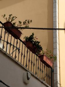 Balkón nebo terasa v ubytování Il Vicoletto