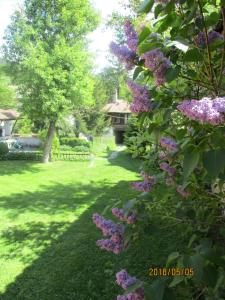 A garden outside Borimechkova Kashta