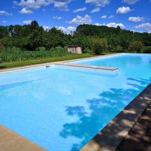 a large swimming pool with blue water in a yard at Agriturismo Nestore in Nestore