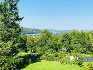 a garden with green grass and trees in the background at Blankensteiner Seeblick in Hattingen