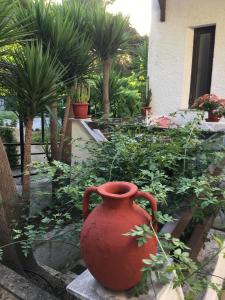 A garden outside ILIOCHARI sea view apartments Oropos - Kalamos