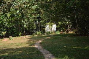 Gallery image of Shadow Grove Camping & Cabins Kitulgala in Kitulgala