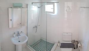 a bathroom with a shower and a toilet and a sink at Anemona Apartments and Studios in Vasilikos +36 photos