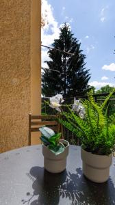 Vonkajšia záhrada v ubytovaní LK43-lodging city-apartments, kontaktlos mit Self Check-In