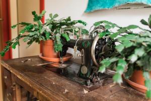 Fotografie z fotogalerie ubytování Trnovo ob Soci Kuhala v destinaci Kobarid