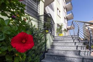 a red flower on the stairs of a building at San Francisco rooms in Marina di Andora