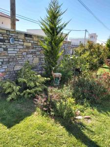 a garden with a pine tree next to a brick wall at Apartments and Villas Janev in Star Dojran