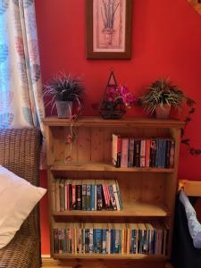 a book shelf filled with books next to a red wall at Ashfield Bed & Breakfast in Belfast