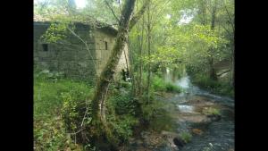 Fotografia z galérie ubytovania Casiña Rústica proximidades Ribeira Sacra v destinácii Ourense