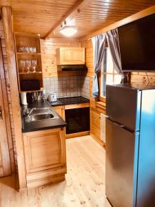 una cucina con frigorifero in acciaio inossidabile e mobili in legno di Holiday Cottage Krishtan a Podcetrtek