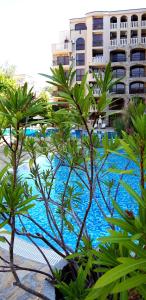 a pool with palm trees in front of a building at Kalia, Sunny beach in Sunny Beach