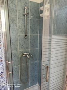 y baño con ducha y puerta de cristal. en mas des pins, en Saint-Cyprien