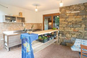 eine Küche mit einer Theke und einer Steinmauer in der Unterkunft ECO Camp Supot in Šmarje