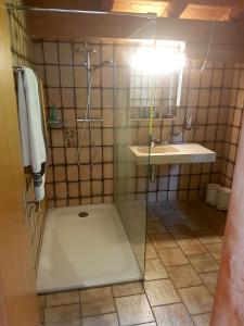 a bathroom with a shower and a sink at Apartment in Brienz in Brienz