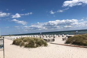 Příroda nedaleko apartmánu + 17 fotografií