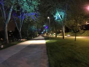 宾客之船酒店外面的花园